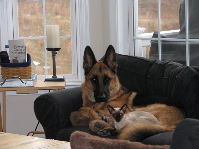 Click here to follow instructions